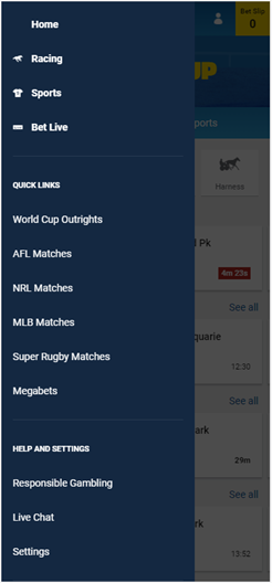 How To Play Sportsbet